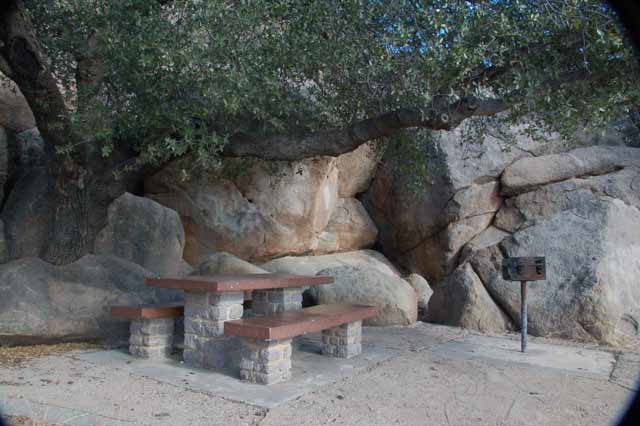 a picnic site on the Scenic Loop